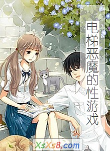 《电梯恶魔的性游戏》小说封面