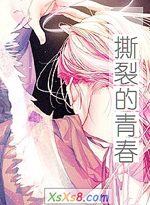 《撕裂的青春》小说封面