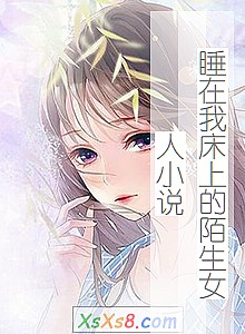 《睡在我床上的陌生女人小说》小说封面