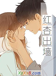 《红杏出墙》小说封面