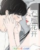 《石榴花开》小说封面