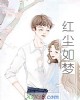 《红尘如梦》小说封面