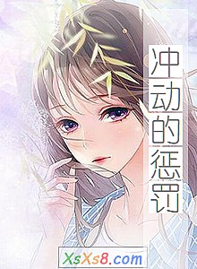 《冲动的惩罚》小说封面