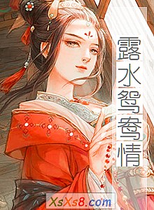 《露水鸳鸯情》小说封面