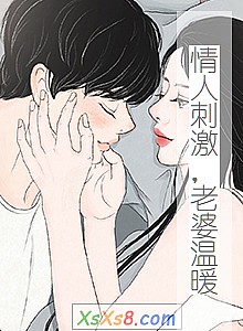 《情人刺激,老婆温暖》小说封面