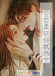 《尝尝柔软细腻感觉》小说封面