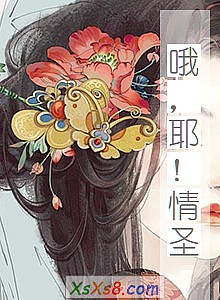 《哦,耶!情圣》小说封面