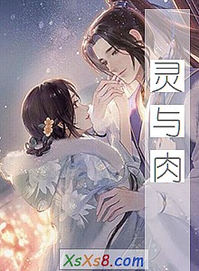《灵与肉》小说封面