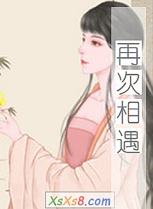 《再次相遇》小说封面
