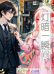 《灯暗一瞬间》小说封面