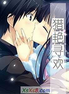 《猎艳寻欢》小说封面