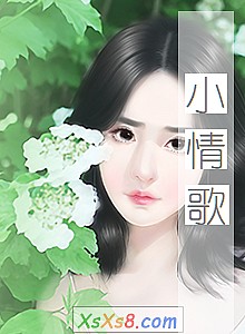 С衷С˵