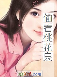 《偷看桃花泉》小说封面