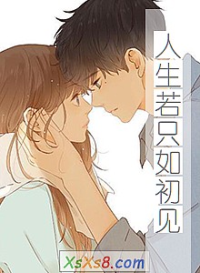 《人生若只如初见》小说封面