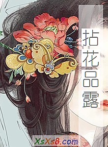 《拈花品露》小说封面
