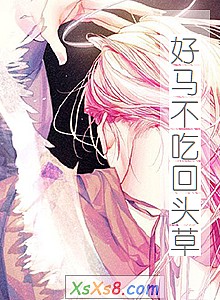 ���������Ի�ͷ�ݡ�С˵����