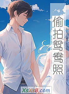 《偷拍鸳鸯照》小说封面