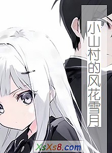 《小山村的风花雪月》小说封面