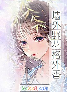 ��ǽ��Ұ�������㡷С˵����