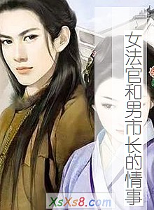 《女法官和男市长的情事》小说封面