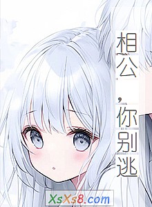 ๫ӡС˵