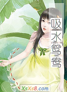 《吸水鸳鸯》小说封面