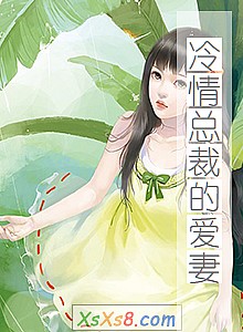 《冷情总裁的爱妻》小说封面