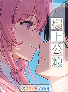 《榻上公粮》小说封面