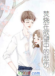 《焚烧在欲望中的悲伤》小说封面