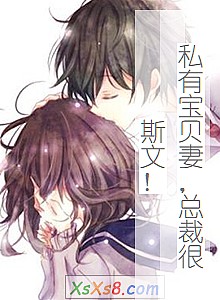 《私有宝贝妻,总裁很斯文!》小说封面