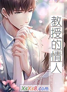 《教授的情人》小说封面