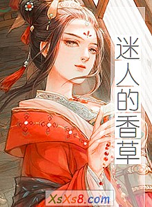 �����˵���ݡ�С˵����