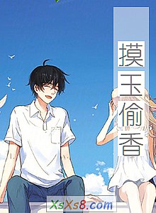 《摸玉偷香》小说封面