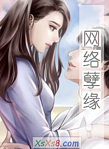 《网络孽缘》小说封面