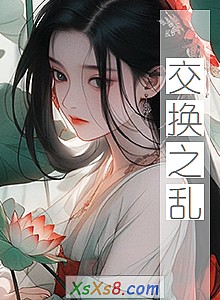 《交换之乱》小说封面