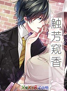 《触芳窥香》小说封面