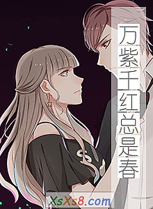 《万紫千红总是春》小说封面