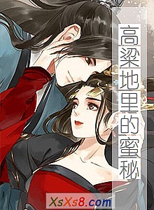 《高粱地里的蜜秘》小说封面