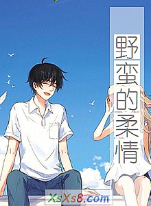 《野蛮的柔情》小说封面