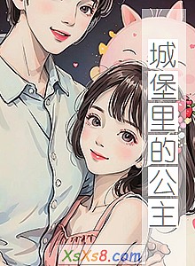 《城堡里的公主》小说封面