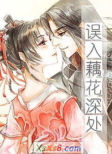 《误入藕花深处》小说封面