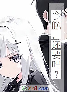 《今晚,还要吗?》小说封面