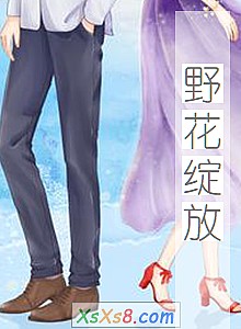 《野花绽放》小说封面