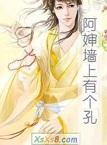 《阿婶墙上有个孔》小说封面