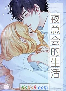 《夜总会的生活》小说封面