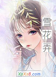 《雪花弄》小说封面