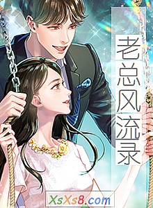 《老总风流录》小说封面