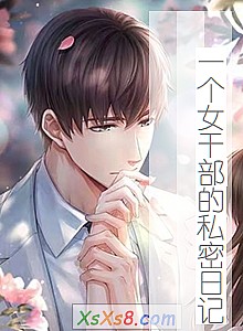 《一个女干部的私密日记》小说封面