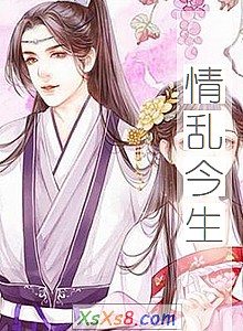 《情乱今生》小说封面