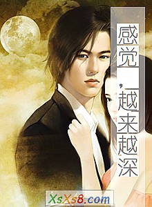 《感觉,越来越深》小说封面